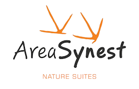 Area Synest